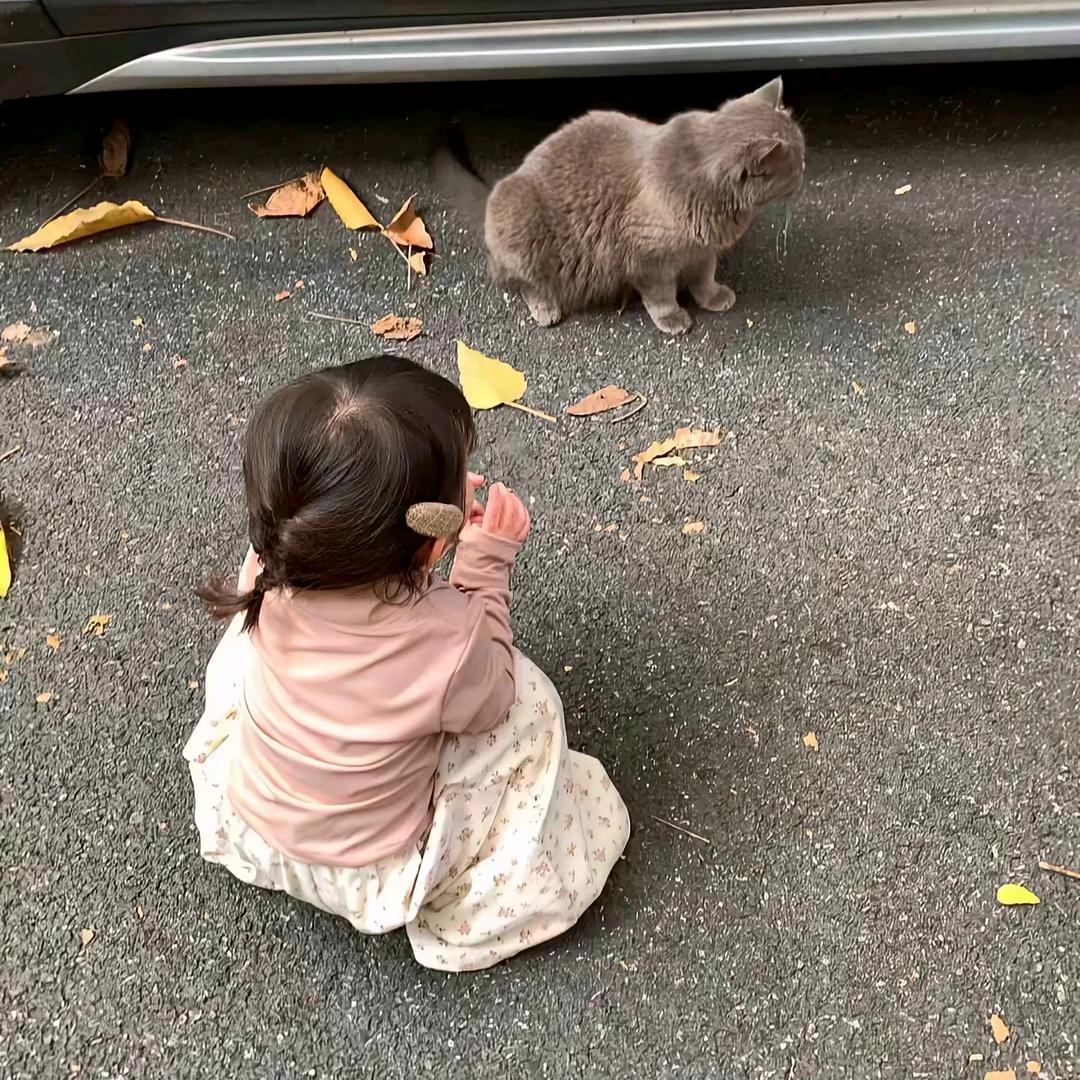莎