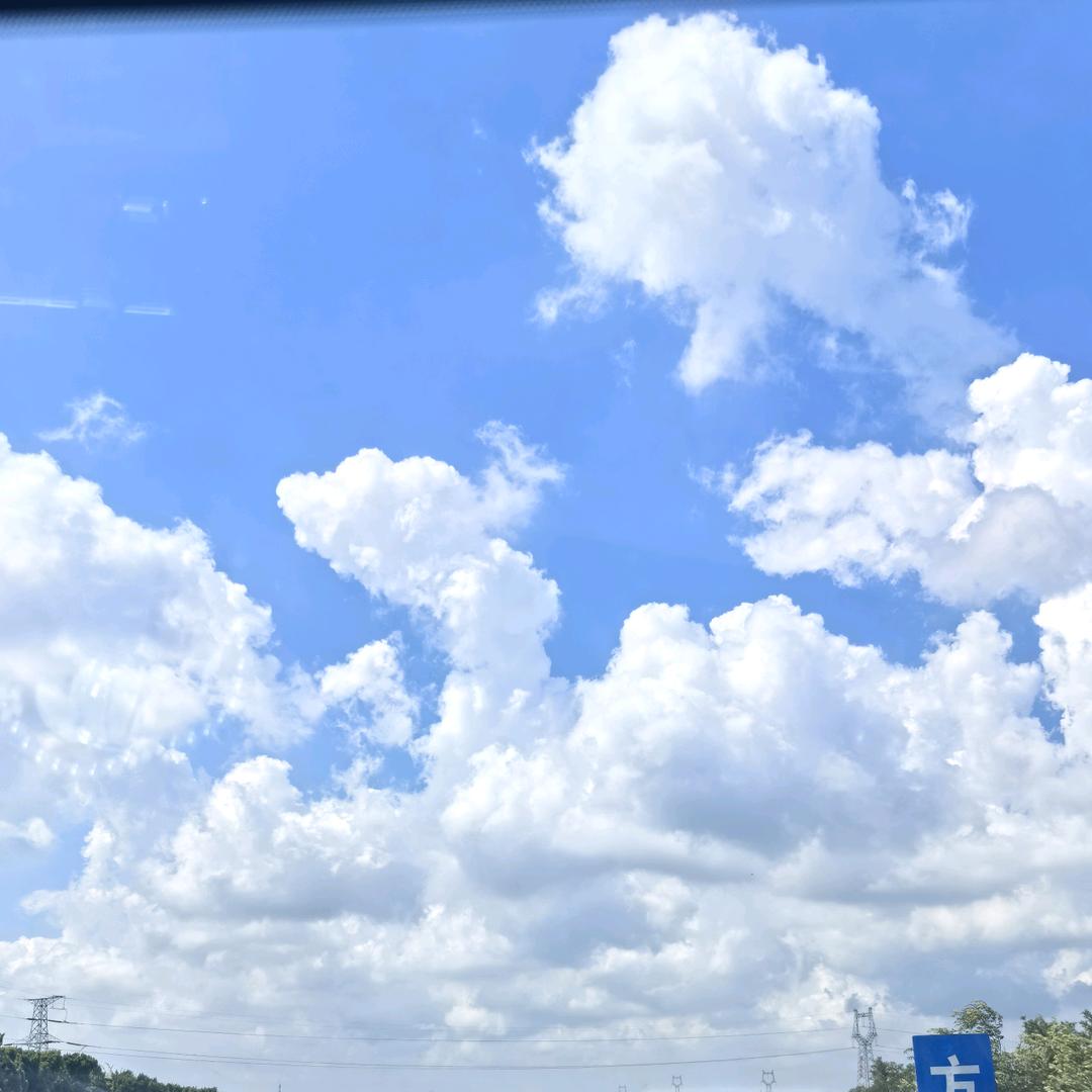 小张要好好生活