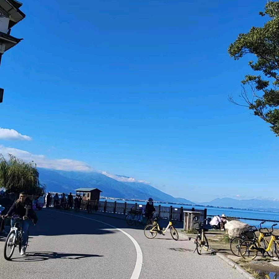 🌱🍀开开心心🌾🌾