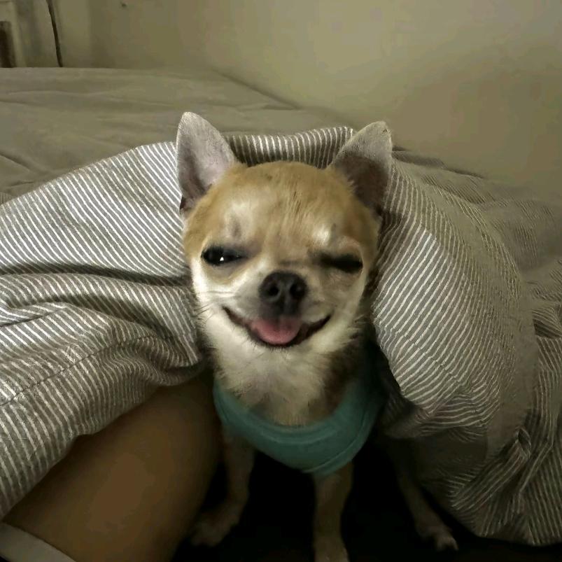 哦咋办