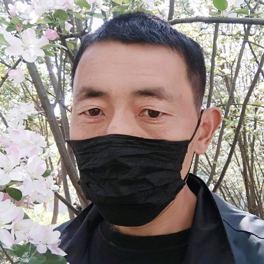 随心远行