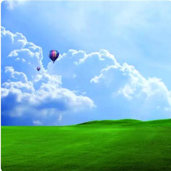 ヽ(✿ﾟ▽ﾟ)ノ🌴童话皆是假🌸🍄