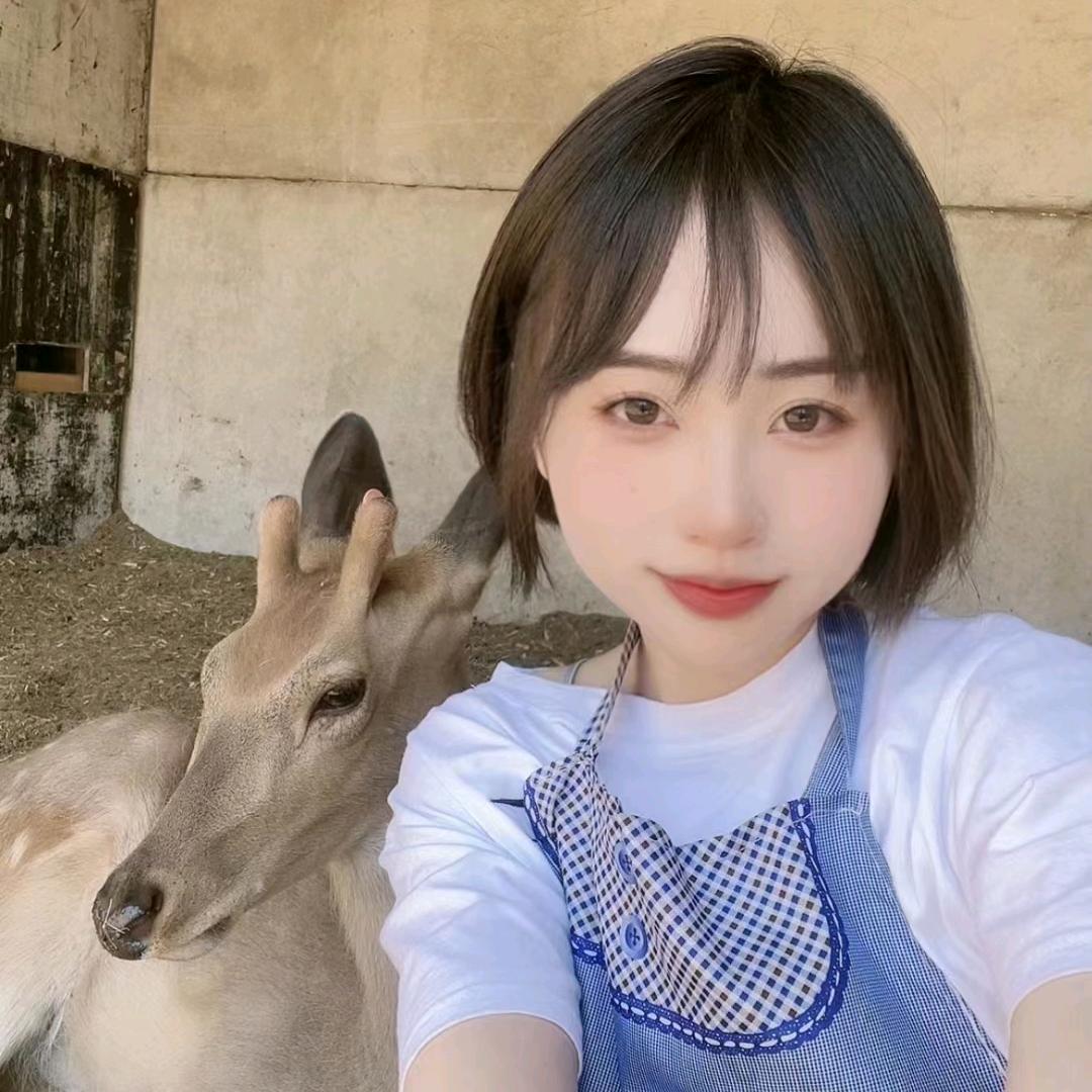 小陈梅花鹿世家