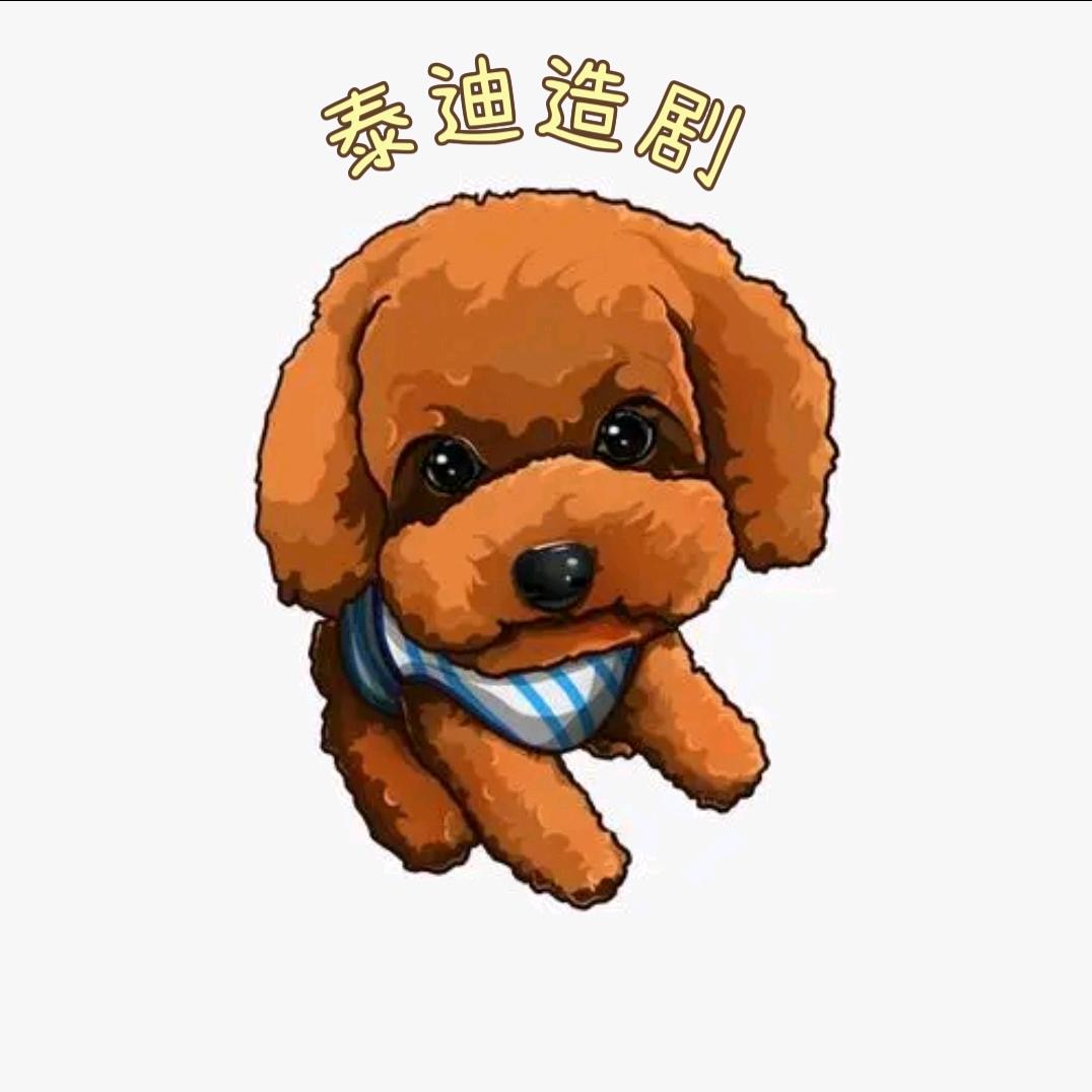 泰迪造剧