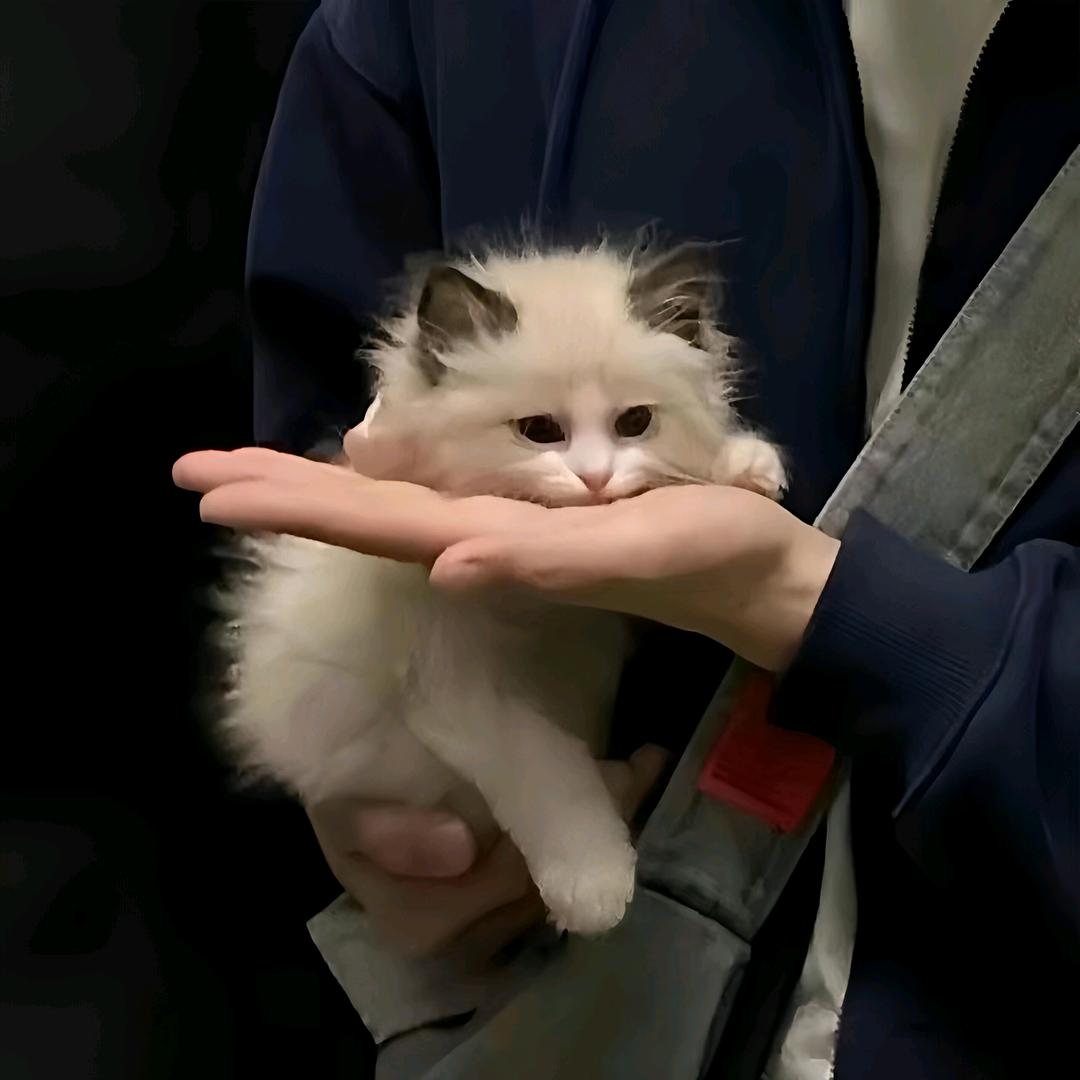一边跑一边www