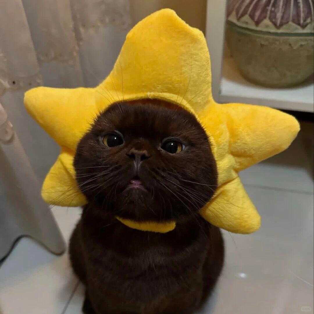 缘缘🥔