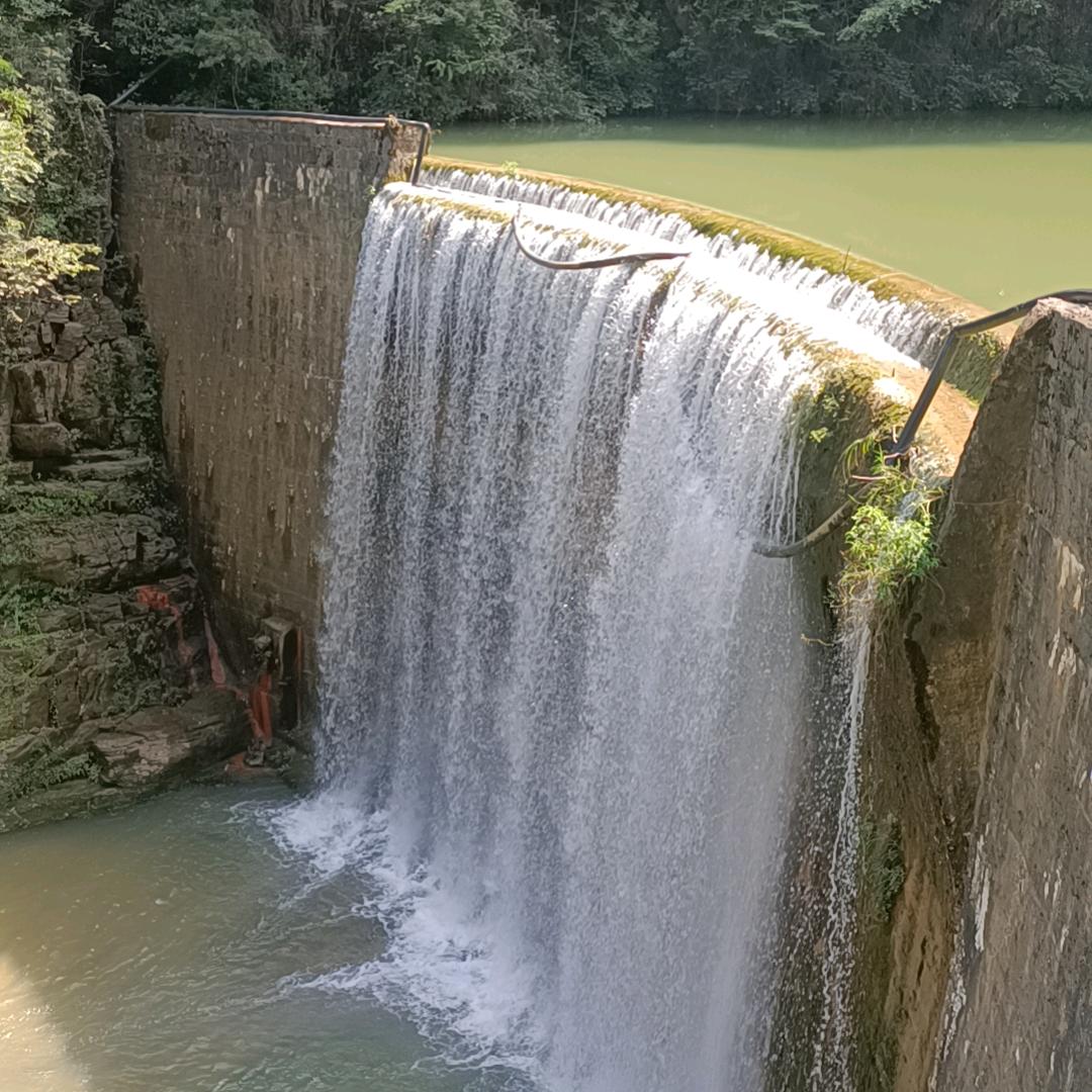 硅谷在逃扫地僧