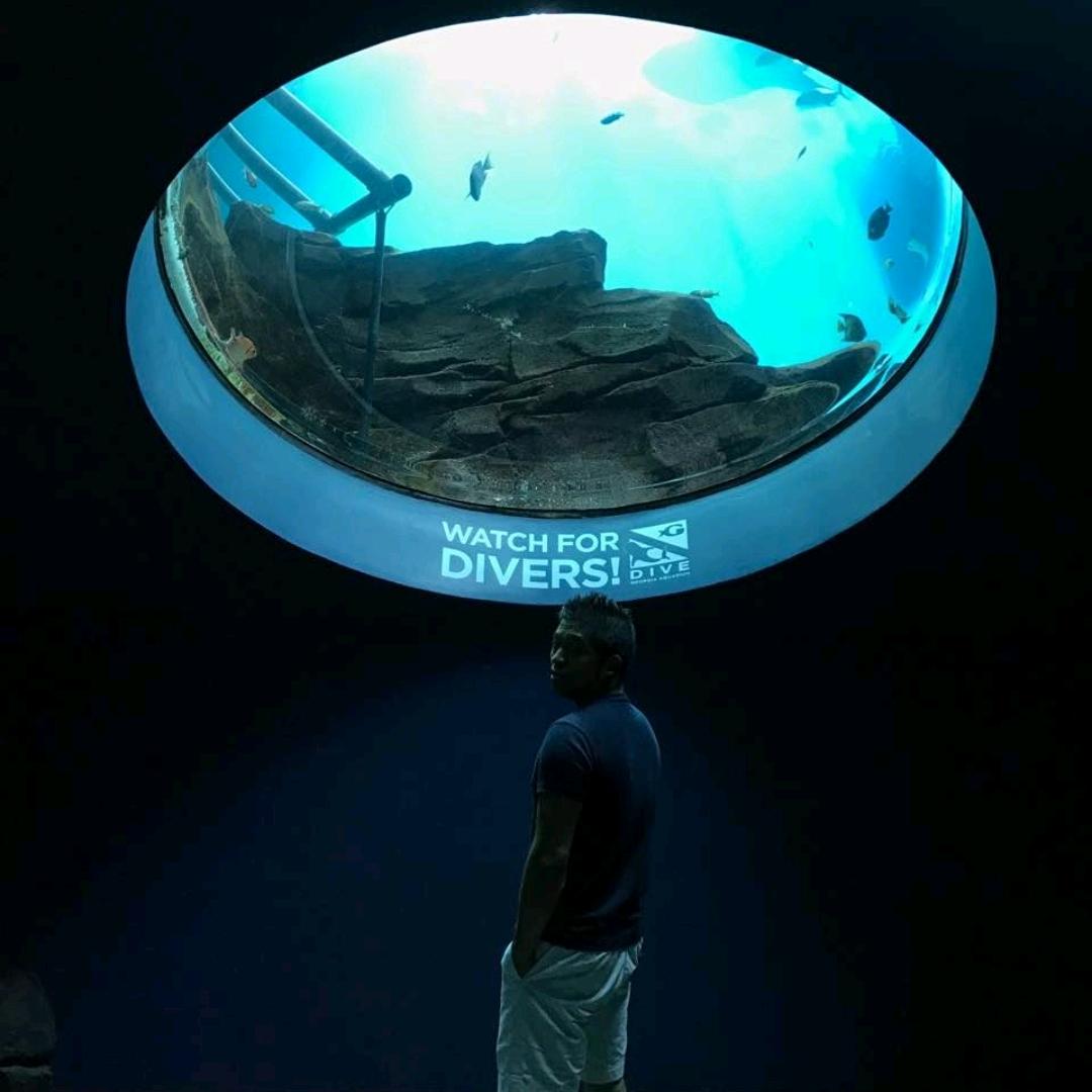 熊猫哥的快乐生活