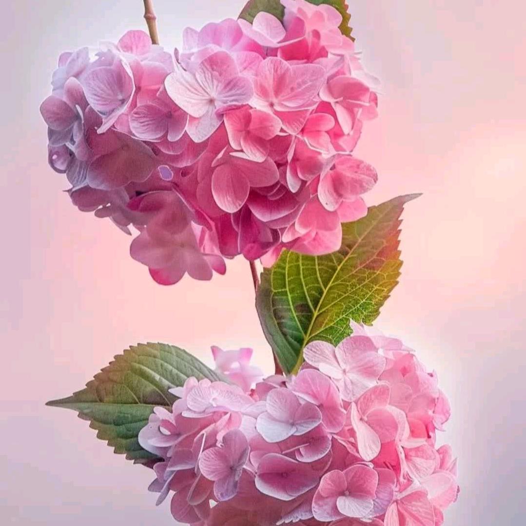 简