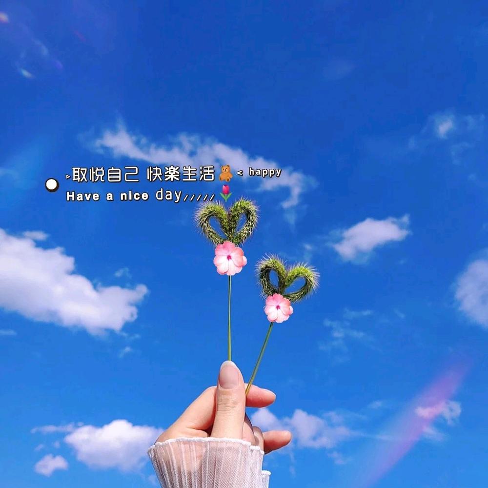 💞 ಢ᭄余生ල᭄随心💞