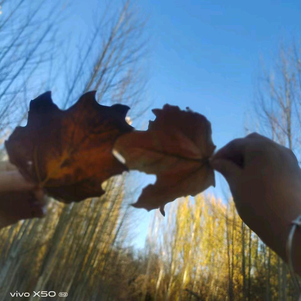 看透不说透的我