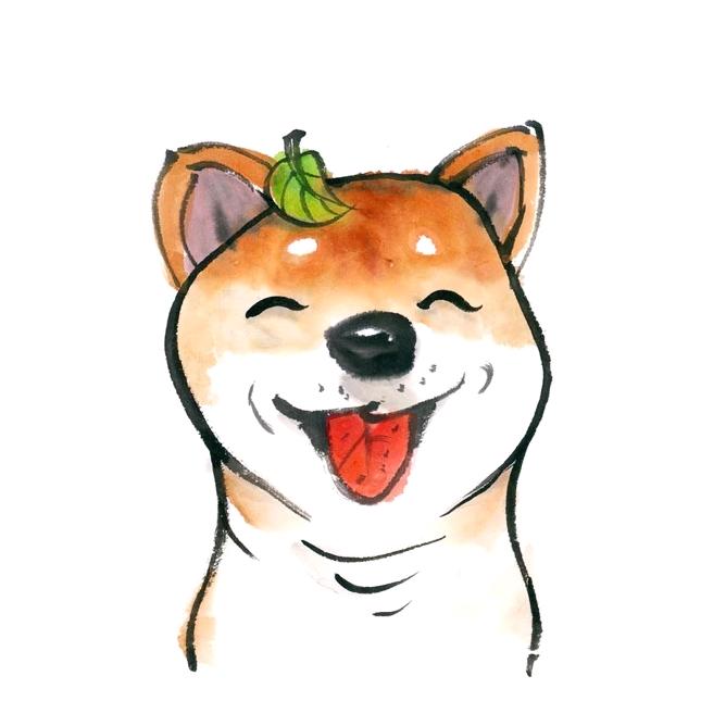 噜啦啦花花卷