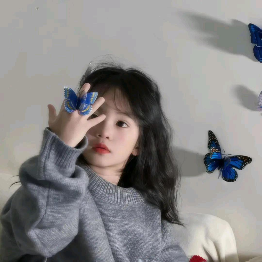 果粒陈π