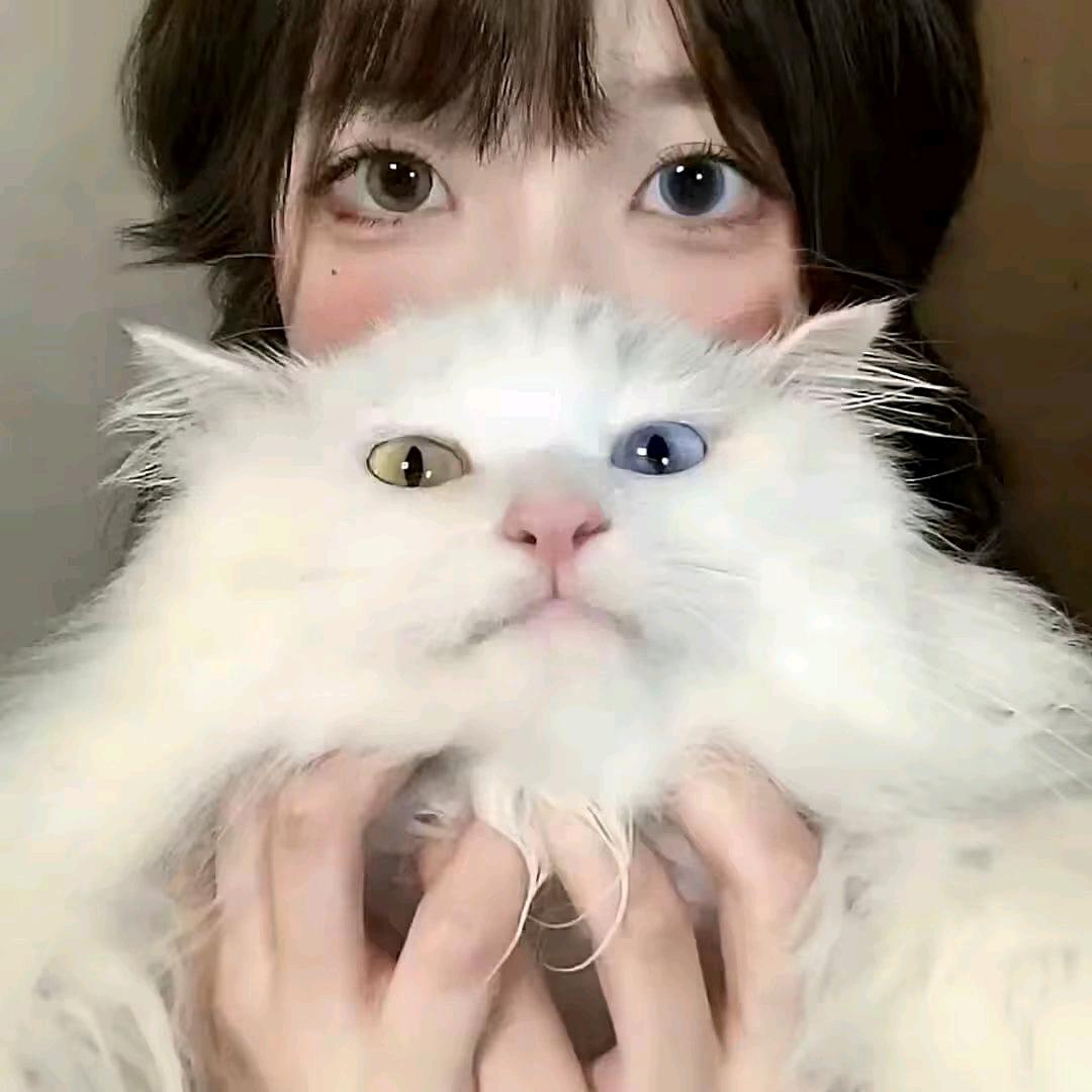 YY.