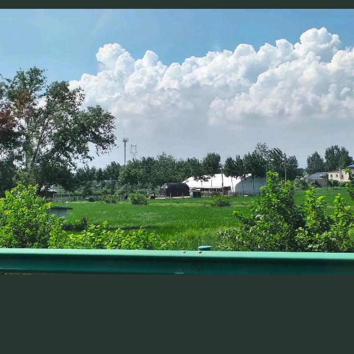 wangdiaoguoqu
