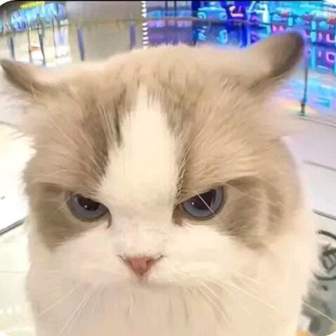 三百