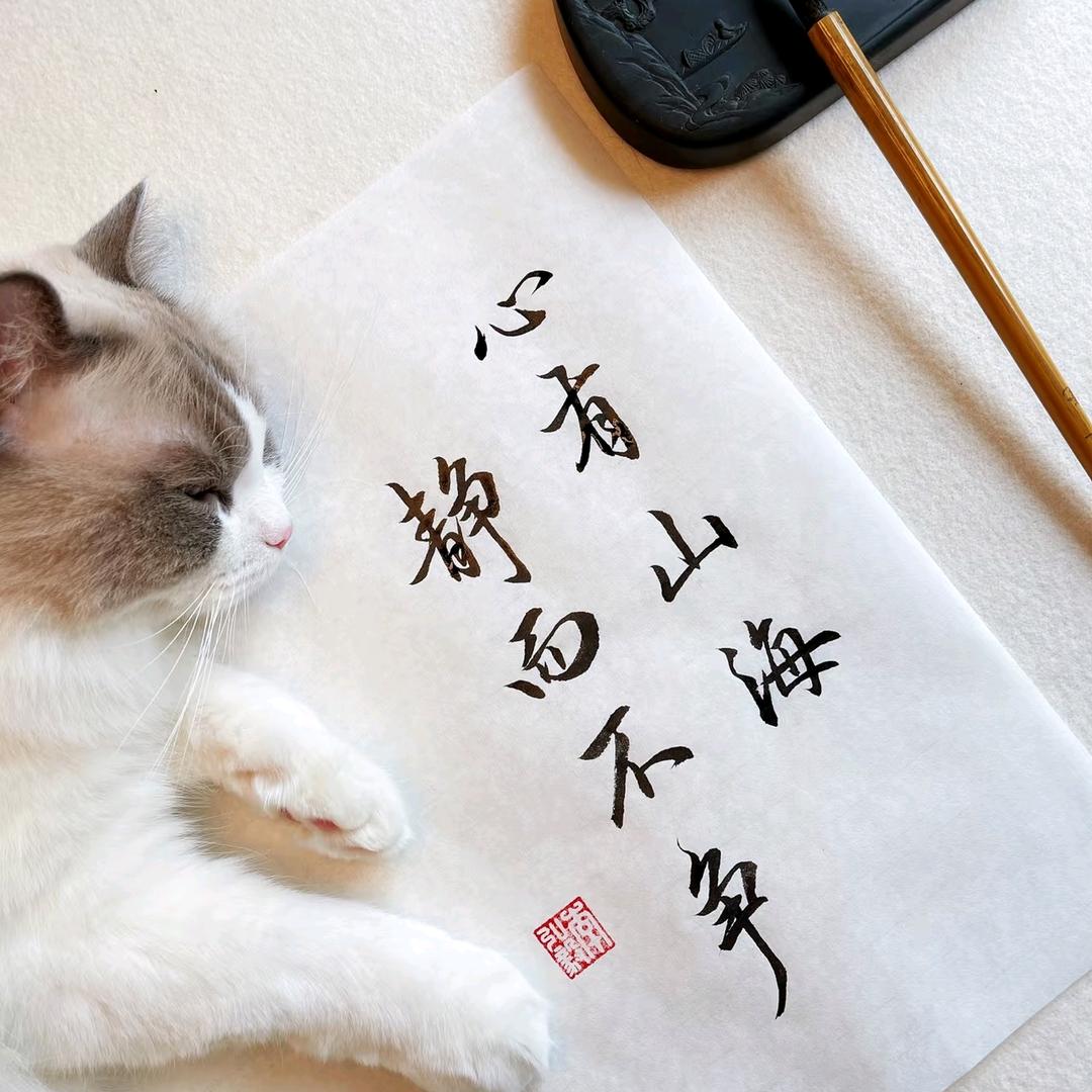 斐