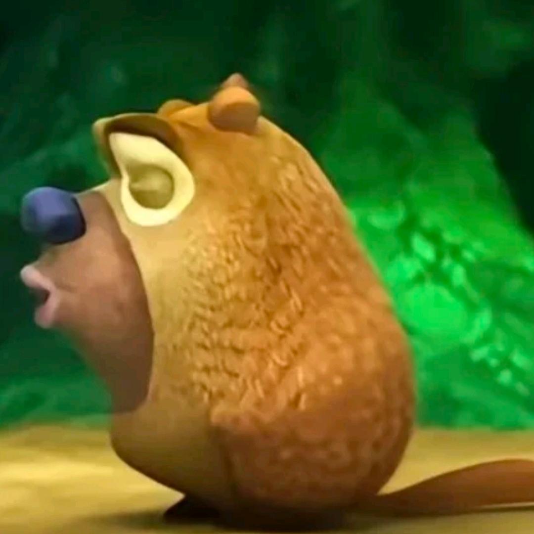 。。。。。。。。
