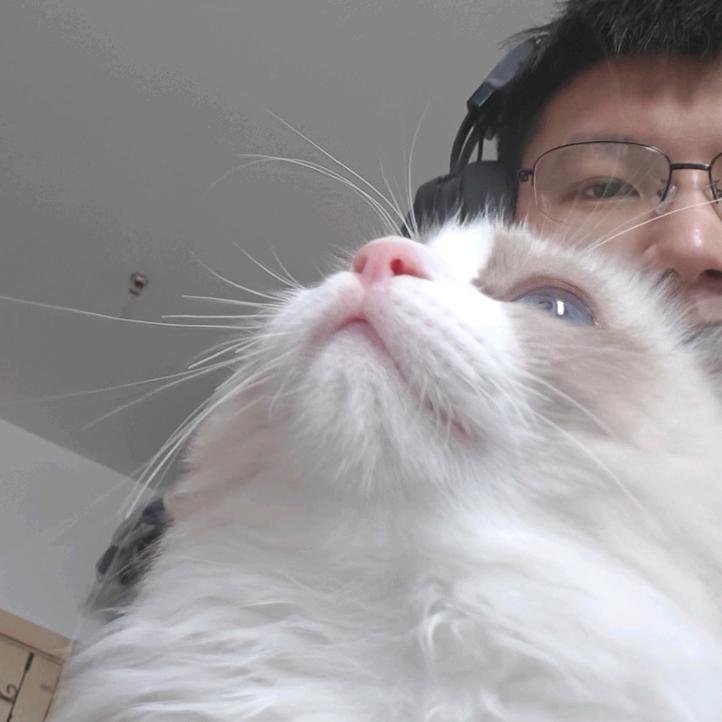 心想是橙和金豆