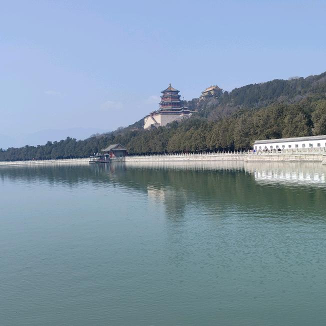 🌾幸运花💐