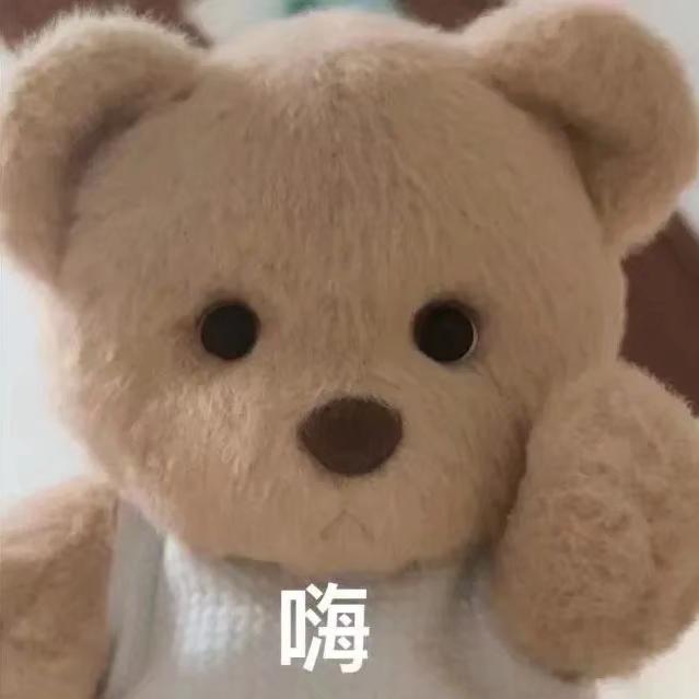 小熊是我的