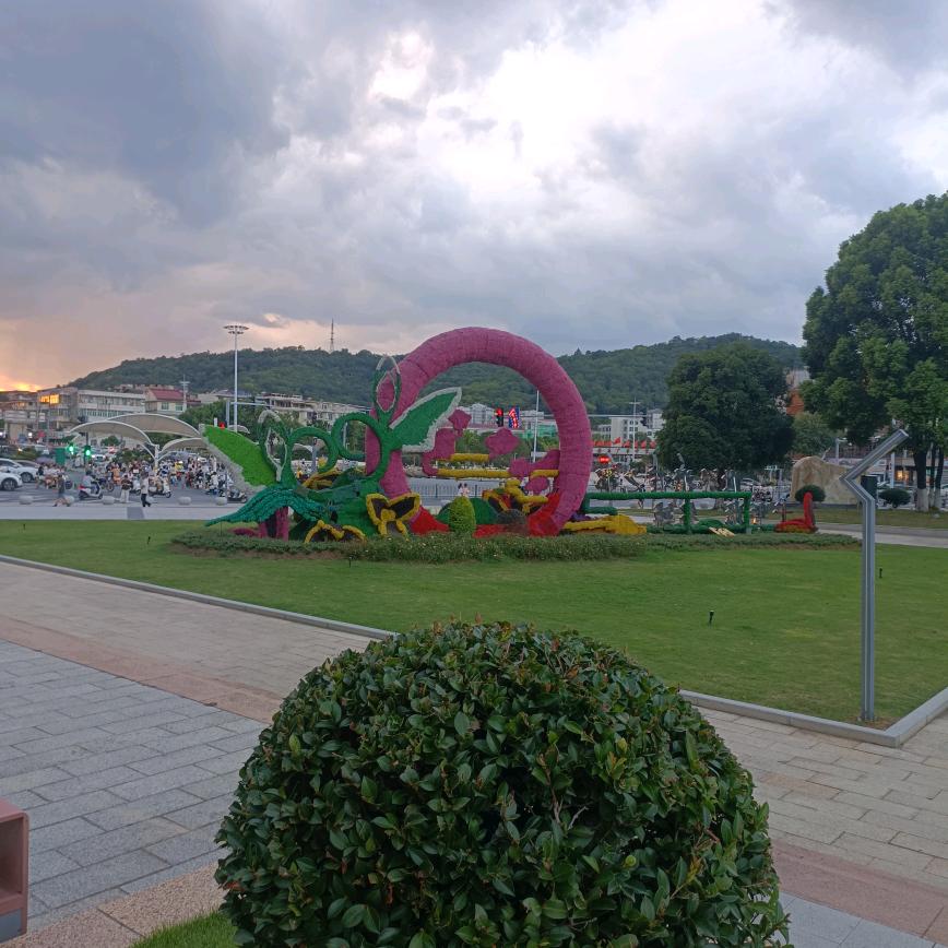 为了梦想