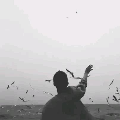 @砥砺前行