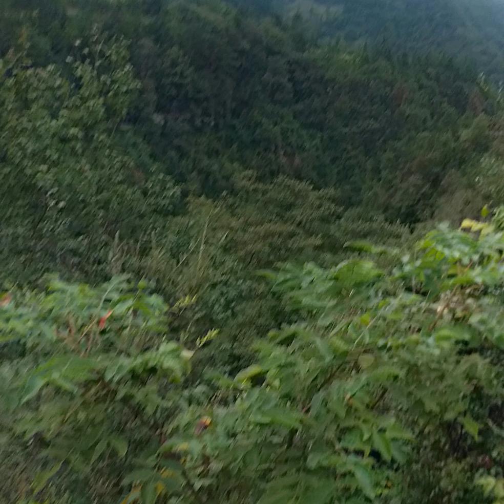 心想事成