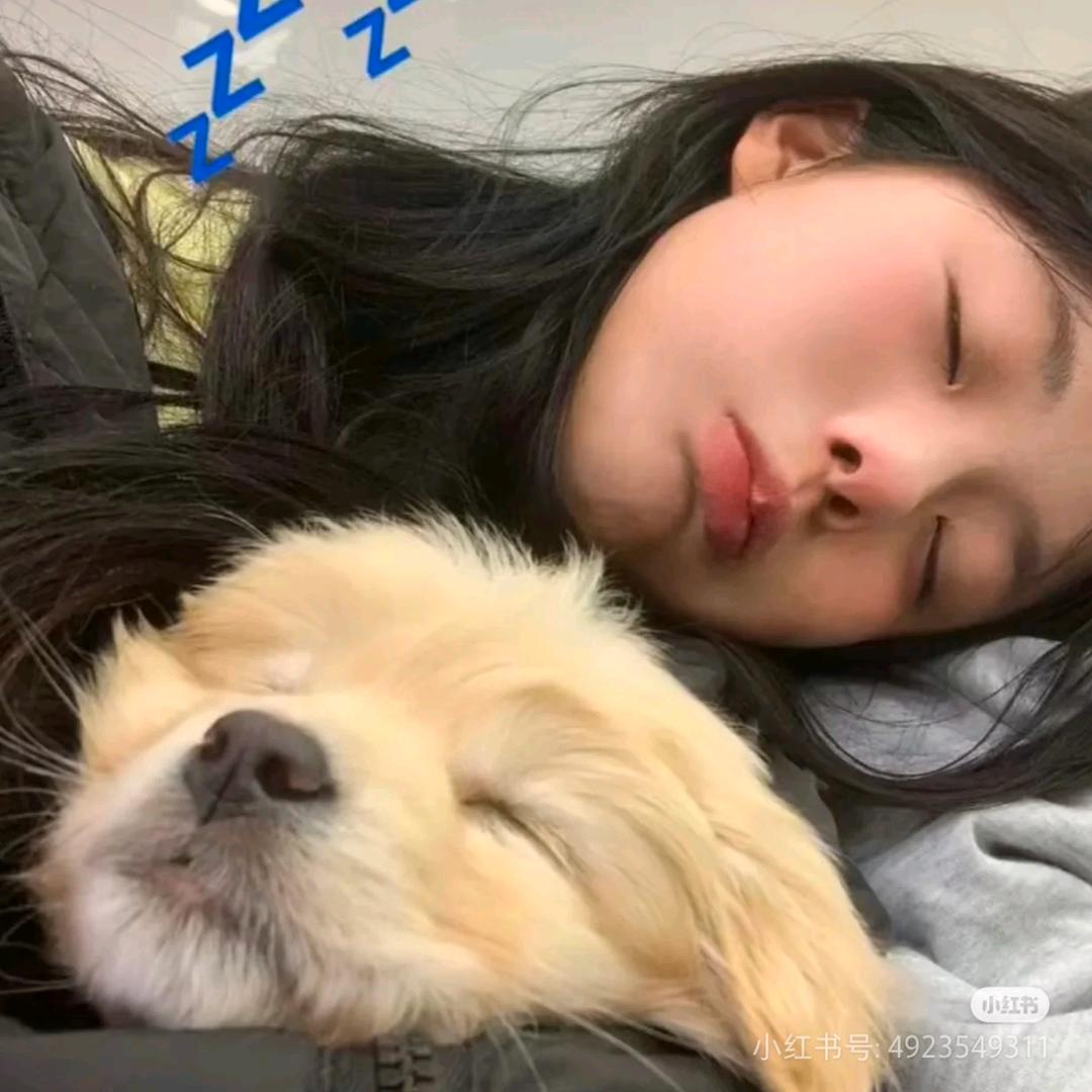 该美女不在线