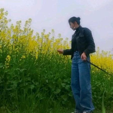 临泉迎仙镇全友家具