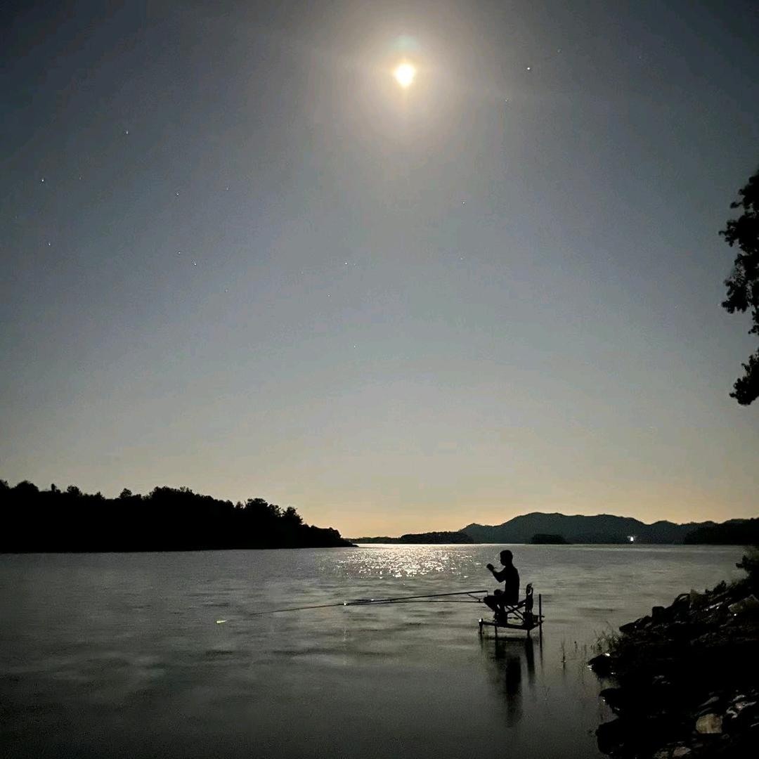 寂静狩猎者…………