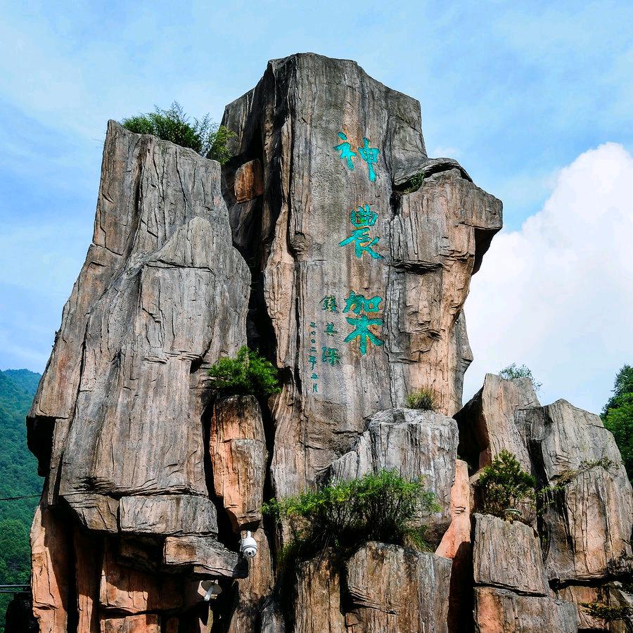锥指