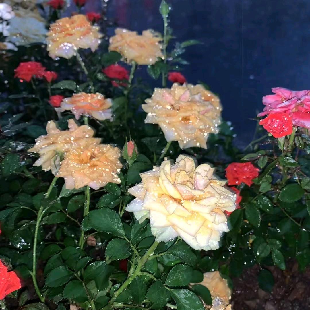 往事随风，但别吹回来