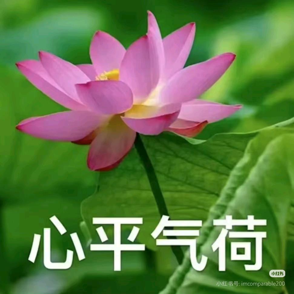 星辰（心平气和）
