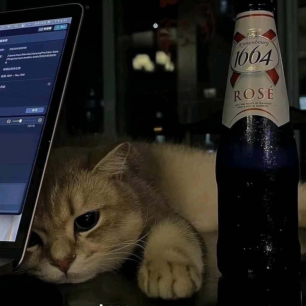 真诚留给真诚的人