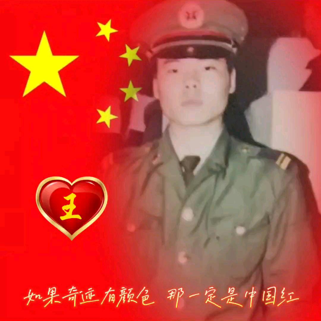 秋宇