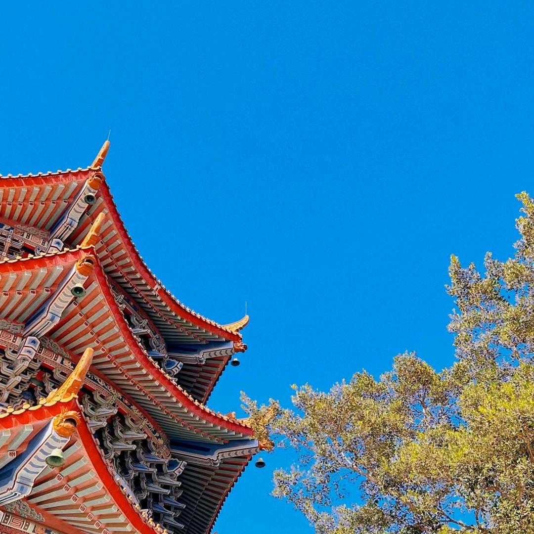 菩瑶若梦澜兮