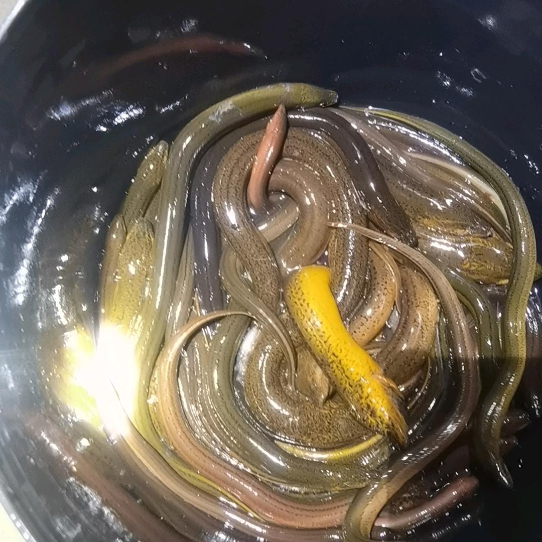 户外野货小飞