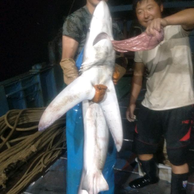 爱钓🐠的小龙