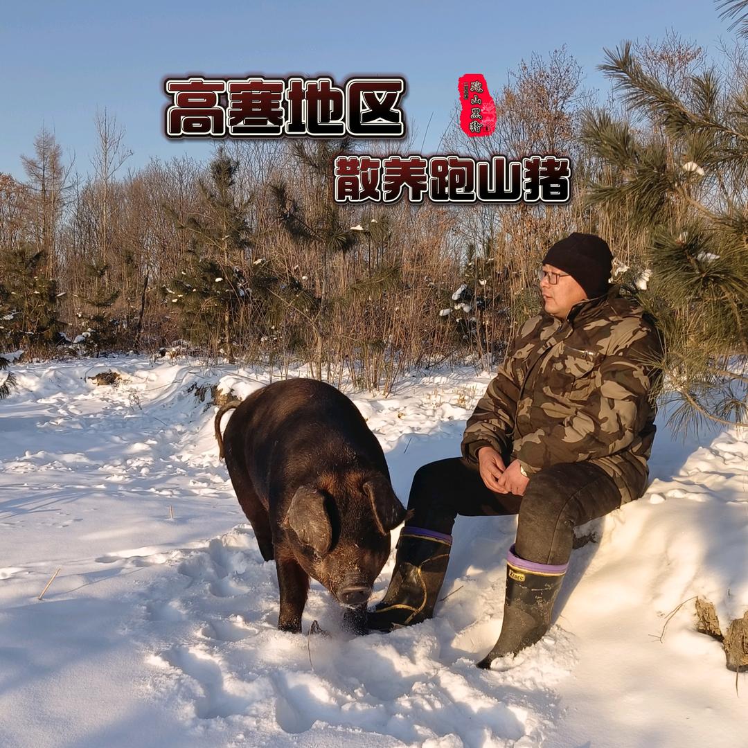 二哥农场（跑山黑猪）