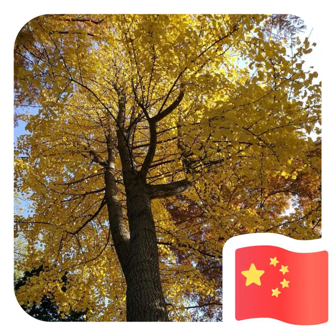 峯景🈚限📸（双子🐮）