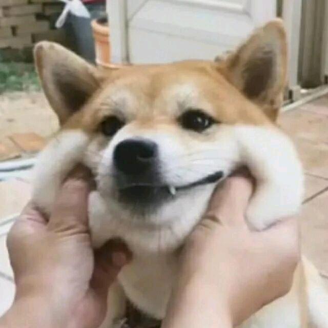 睡着了