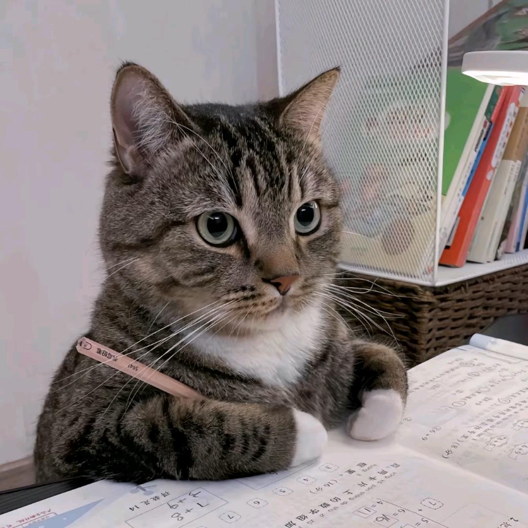 织里童装批发—小赵