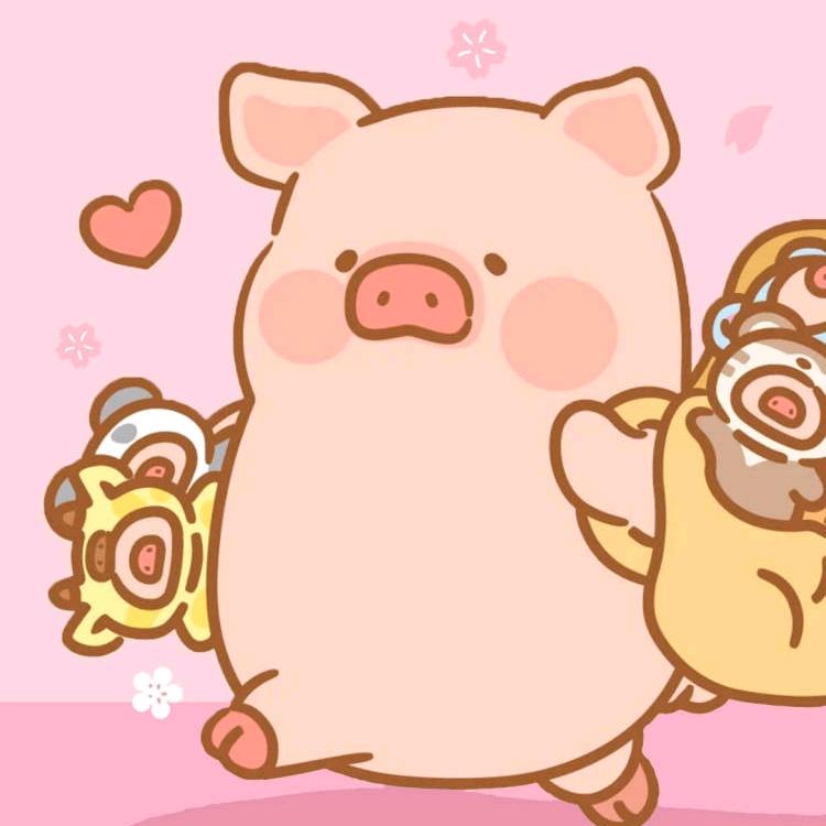 🐷🐷