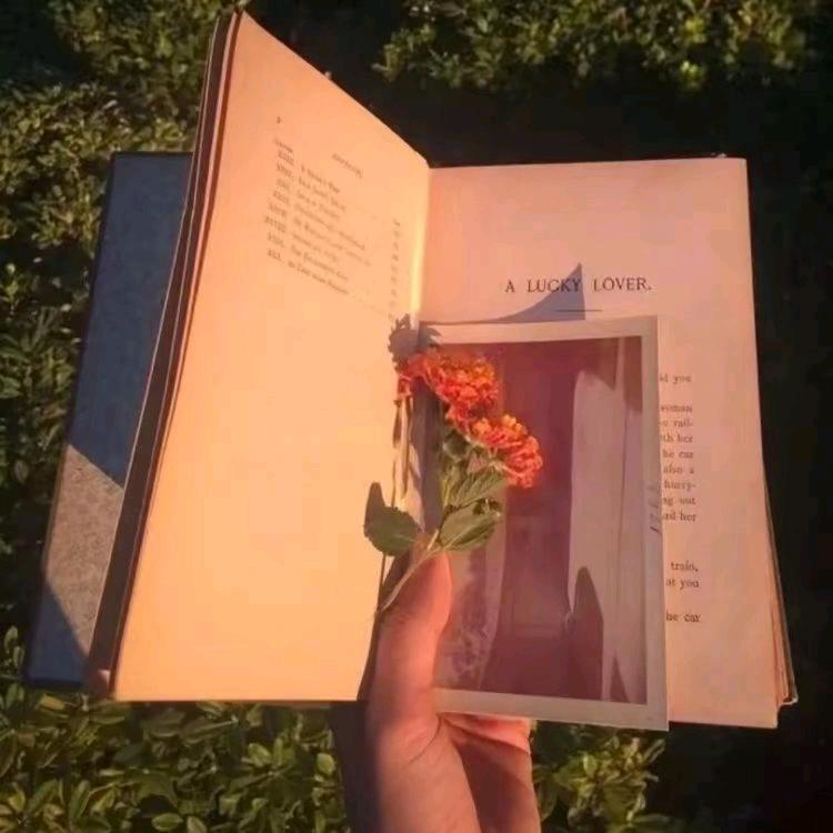 繁花巷