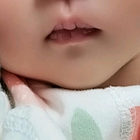 橙宝贝儿