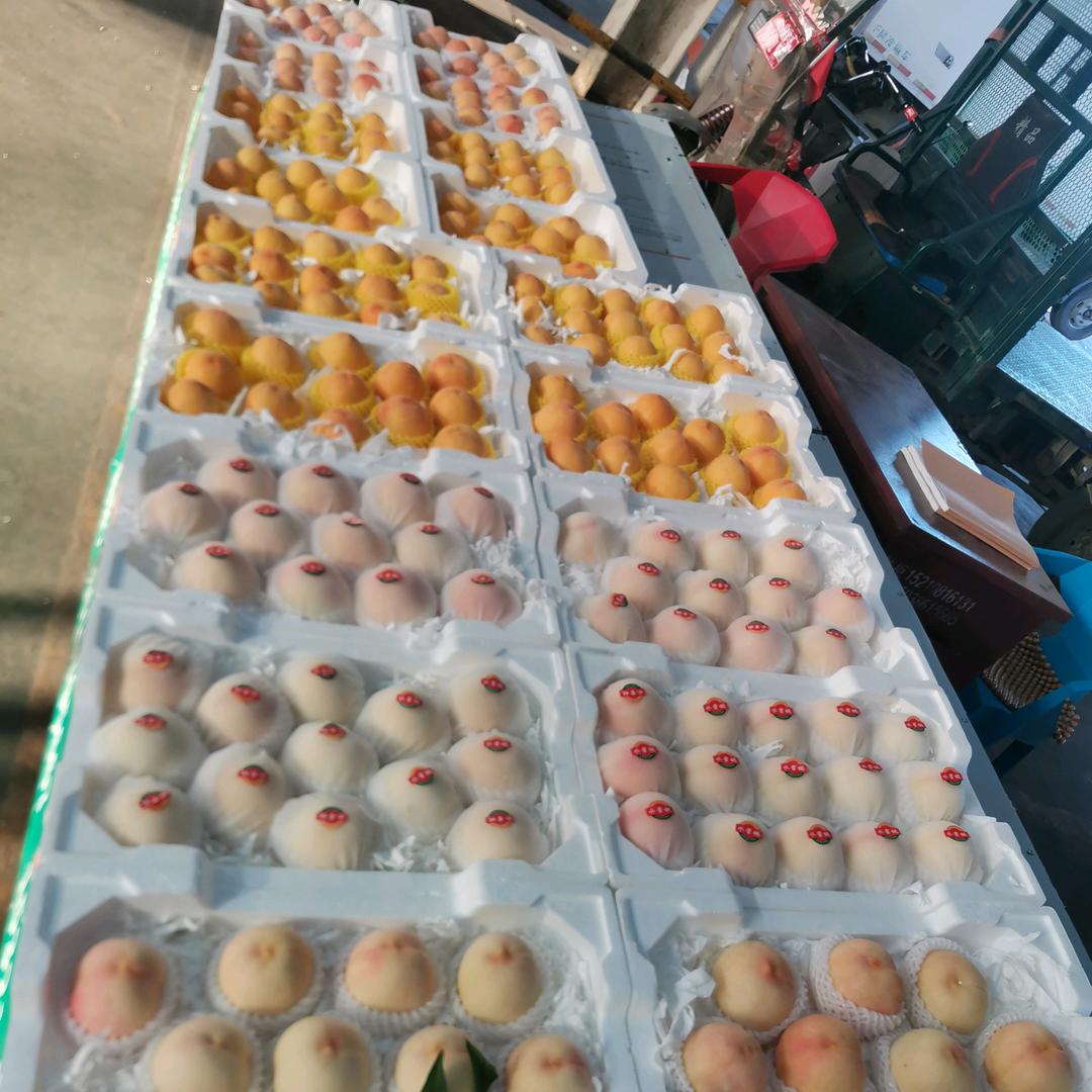 来生早点“豫”见你！