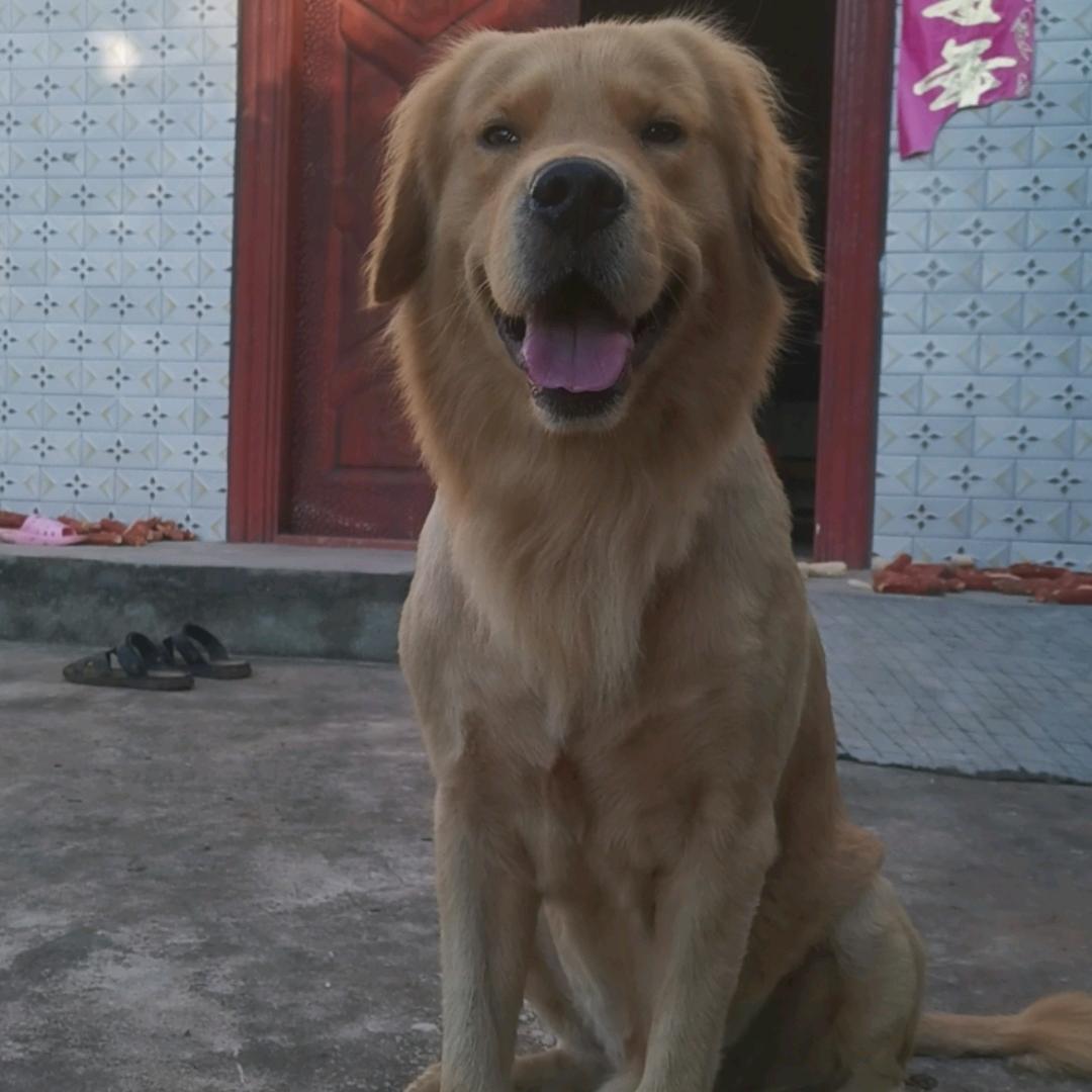 赵秀华