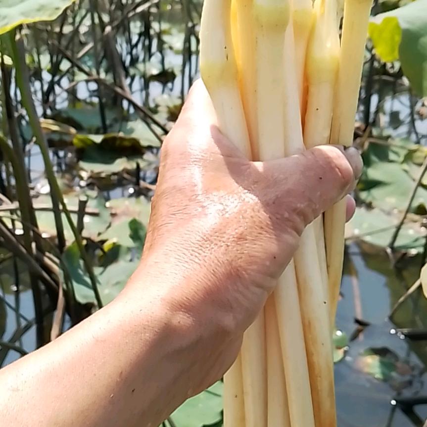 捡瓶子大叔