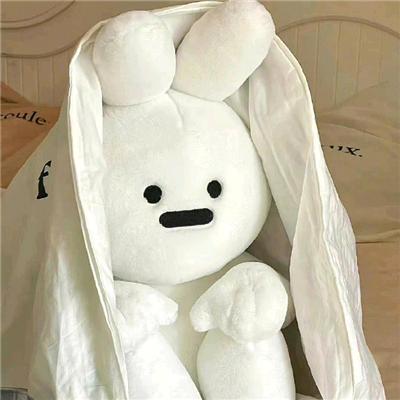 白了又了白